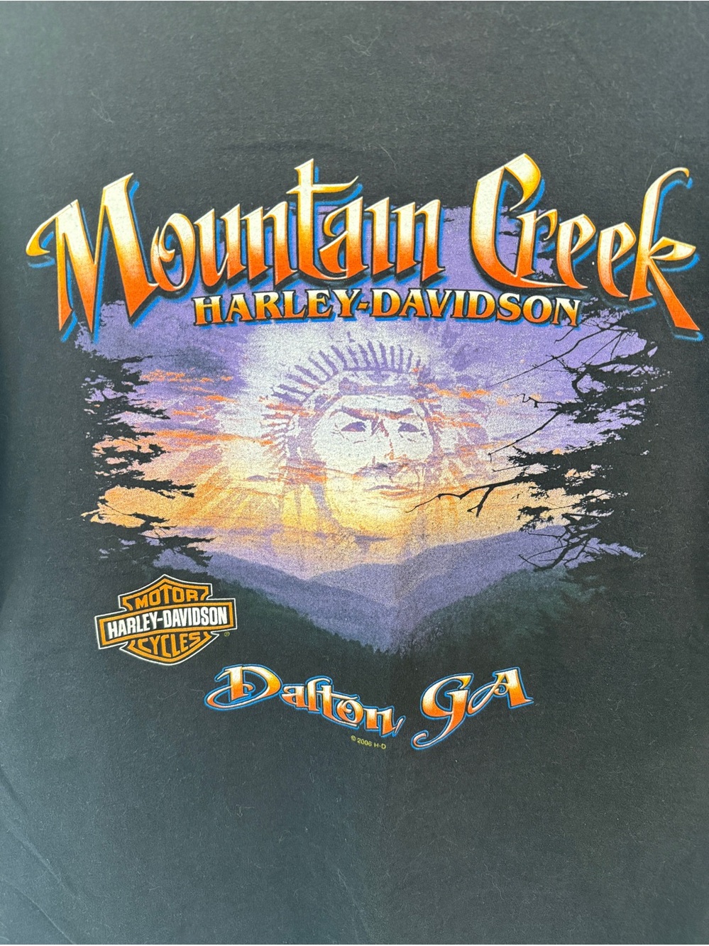 Harley Davidson Black shirt mens XL Mountain Creek Graphic Indian Mountains